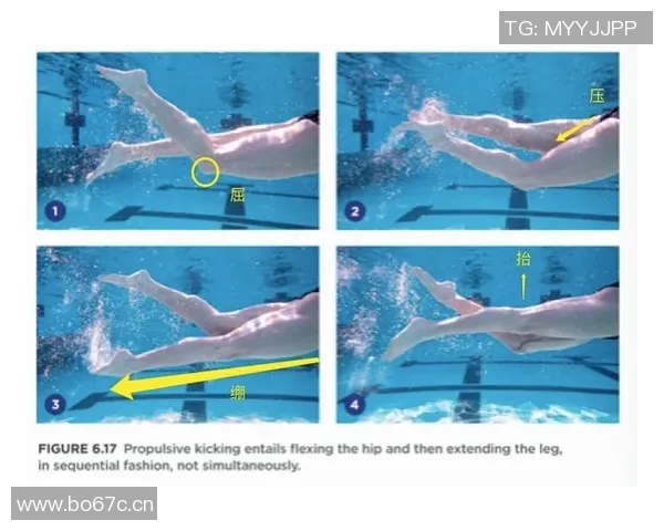 优化自由泳技巧提升游泳效率与耐力的实用方法